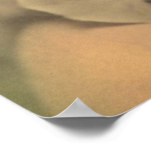 Lucille Ball  Classic, Elegant Poster (Hoek)