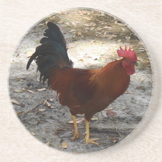 Luci's Roosters Tall Rooster Stone Onderzetter (Voorkant)