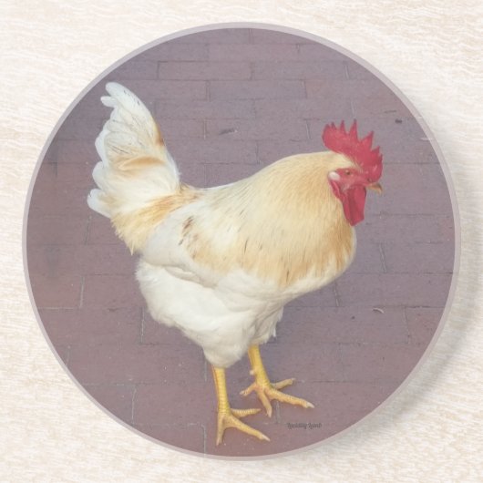Luci's Roosters White Rooster Stone Onderzetter (Voorkant)