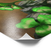 Luck Clover Dragon 13x19 Print Foto Afdruk (Hoek)