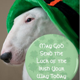 Luck of the Irish Magneet