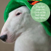 Luck of the Irish Magneet