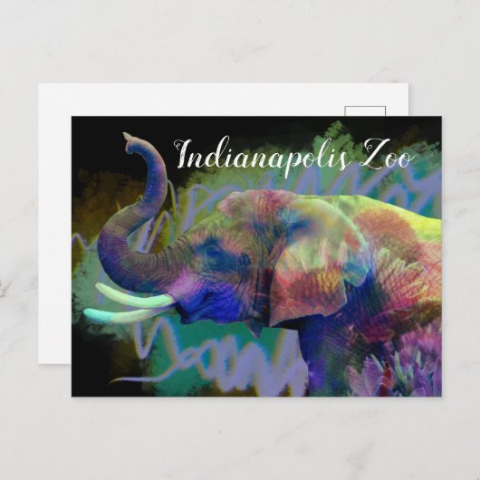 Luck of the Nose Colorful Elephant Briefkaart (Voorkant / Achterkant)