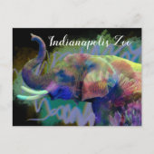 Luck of the Nose Colorful Elephant Briefkaart (Voorkant)