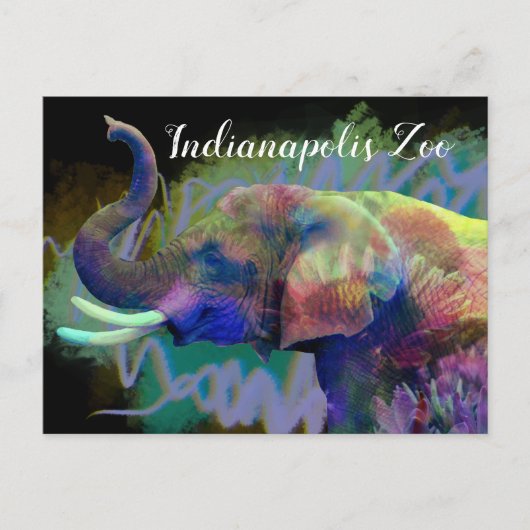 Luck of the Nose Colorful Elephant Briefkaart (Voorkant)