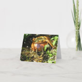 Luck van de Ieren! Kaart (Voorkant)