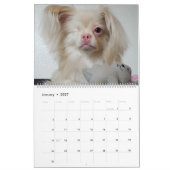 Lucky 2020-agenda kalender (Jan 2027)