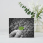 Lucky 6 (selectief gekleurde versie) briefkaart (Staand voorkant)