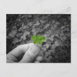 Lucky 6 (selectief gekleurde versie) briefkaart