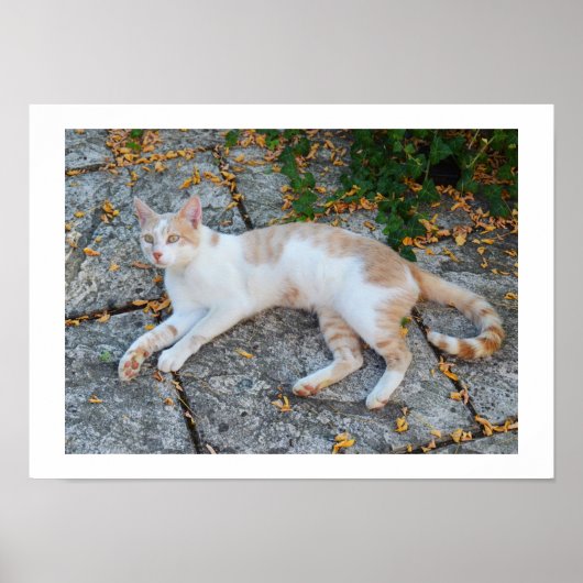 Lucky Awake Poster (Voorkant)