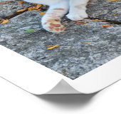 Lucky Awake Poster (Hoek)