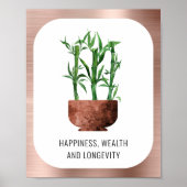 Lucky Bamboo Happalth Kraalth Langoustheid Roos Go Poster (Voorkant)