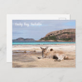 Lucky Bay Beach Kangaroo, Australië Briefkaart (Voorkant / Achterkant)