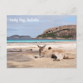 Lucky Bay Beach Kangaroo, Australië Briefkaart