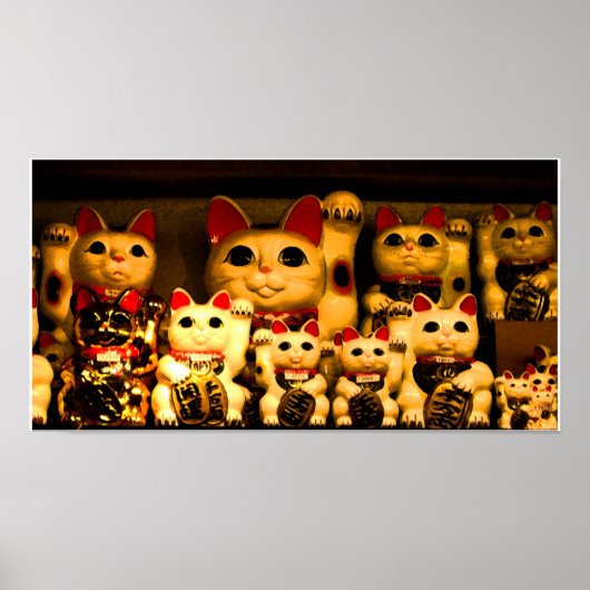 Lucky Beconing Kat Poster (Voorkant)
