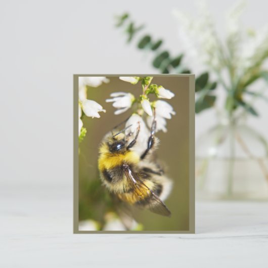 Lucky Bee Briefkaart (Staand voorkant)