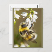 Lucky Bee Briefkaart (Voorkant / Achterkant)