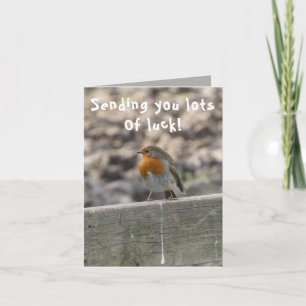 Lucky Bird Poo Good Luck Card Kaart