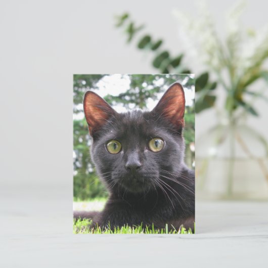 Lucky Black Cat Briefkaart (Staand voorkant)