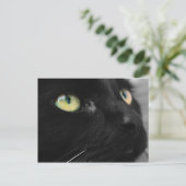 Lucky Black Cat Briefkaart (Staand voorkant)