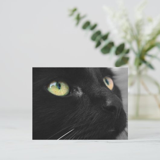 Lucky Black Cat Briefkaart (Staand voorkant)