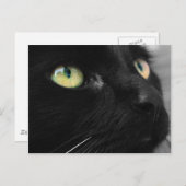 Lucky Black Cat Briefkaart (Voorkant / Achterkant)