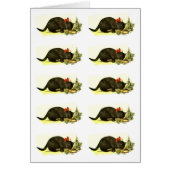 Lucky black-kattenkaart (Voorkant)