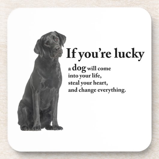 Lucky Black Lab Bier Onderzetter (Voorkant)