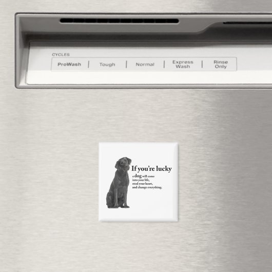 Lucky Black Lab Magneet (Insitu (Vaatwasser))