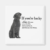 Lucky Black Lab Magneet (Voorkant)