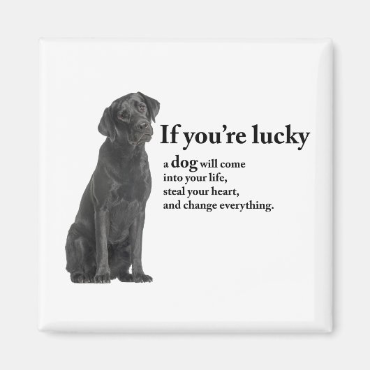 Lucky Black Lab Magneet (Voorkant)