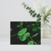 Lucky Briefkaart (Staand voorkant)