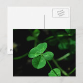 Lucky Briefkaart (Voorkant / Achterkant)