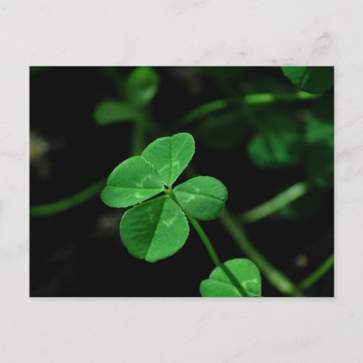 Lucky Briefkaart (Voorkant)