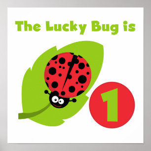 Lucky Bug 1e verjaardag T-shirts en geschenken Poster