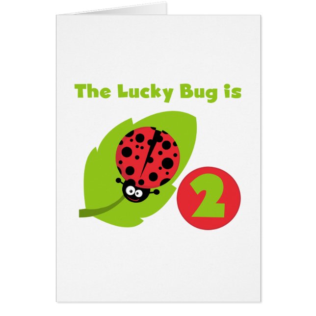 Lucky Bug 2e verjaardag T-shirts en geschenken (Voorkant)