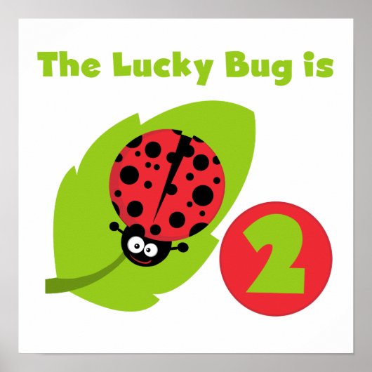 Lucky Bug 2e verjaardag T-shirts en geschenken Poster (Voorkant)