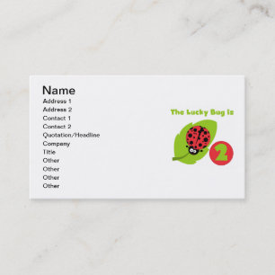 Lucky Bug 2e verjaardag T-shirts en geschenken Visitekaartje