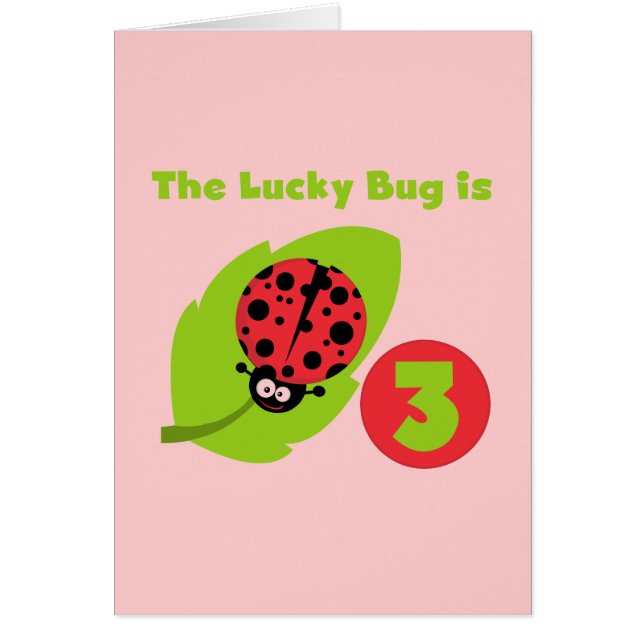 Lucky Bug 3e Verjaardag T shirten en geschenken (Voorkant)