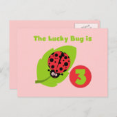 Lucky Bug 3e Verjaardag T shirten en geschenken Briefkaart (Voorkant / Achterkant)