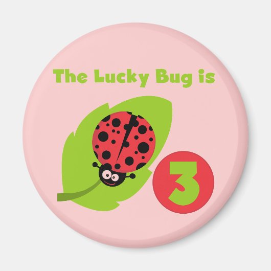 Lucky Bug 3e Verjaardag T shirten en geschenken Magneet (Voorkant)