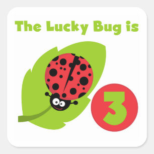 Lucky Bug 3e Verjaardag T shirten en geschenken Vierkante Sticker