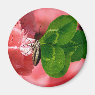 Lucky Butterfly Magneet