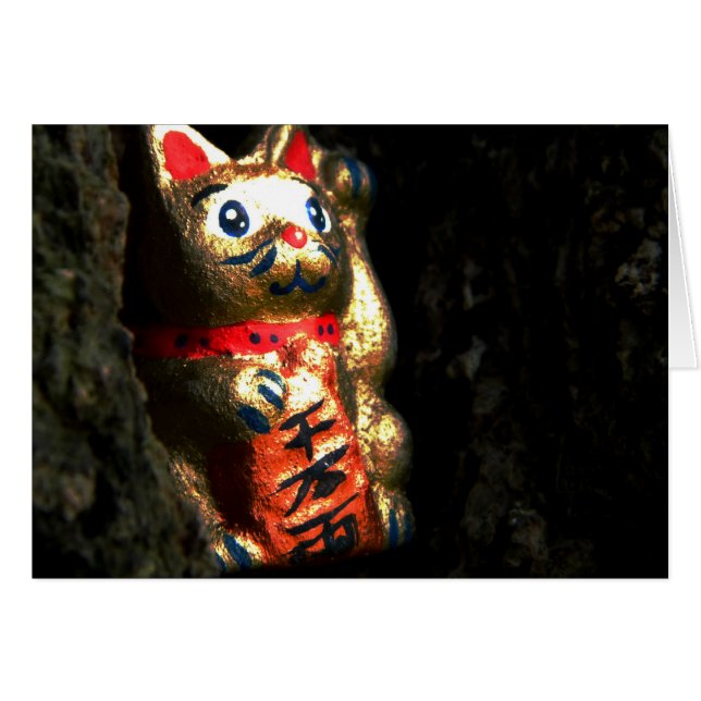 Lucky Cat in Bark (Voorkant Horizontaal)