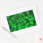 Lucky Celtic Irish Green Shamrocks Rechthoekige Sticker (Envelop)