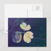 Lucky Charm-Briefkaart Briefkaart (Voorkant / Achterkant)