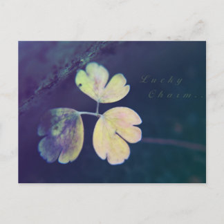 Lucky Charm-Briefkaart Briefkaart
