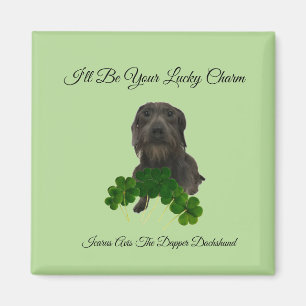Lucky Charm Magnet