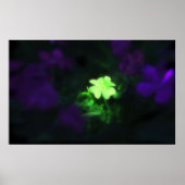 Lucky Charm Poster (Voorkant)