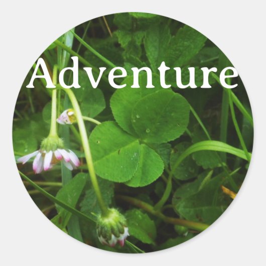 Lucky Charm Sticker (Voorkant)